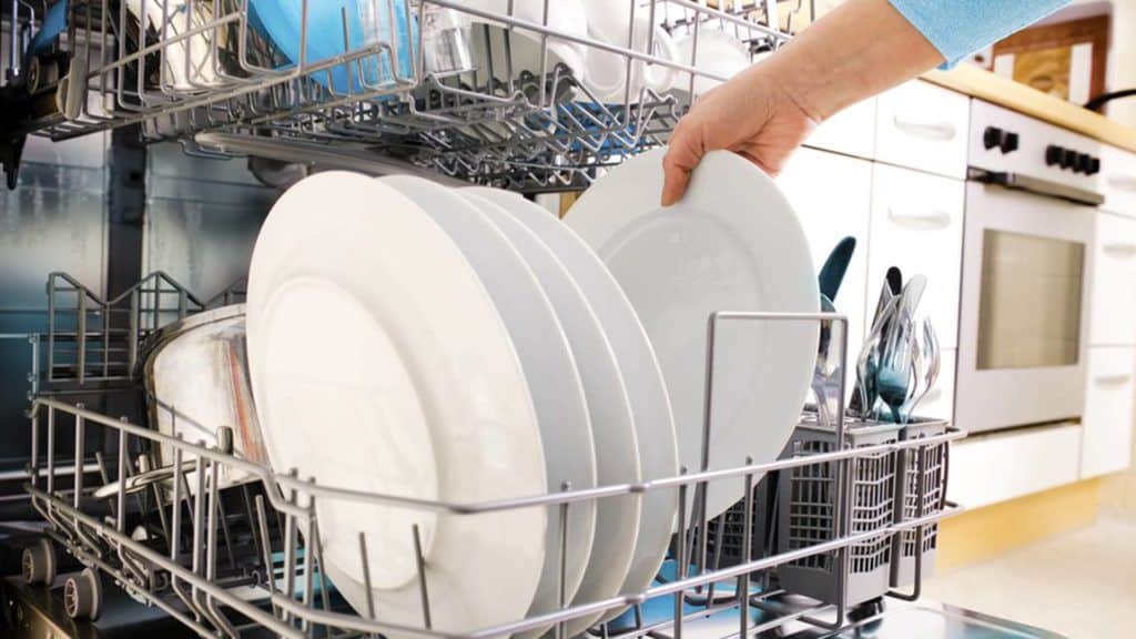 dishwasher bas smell post