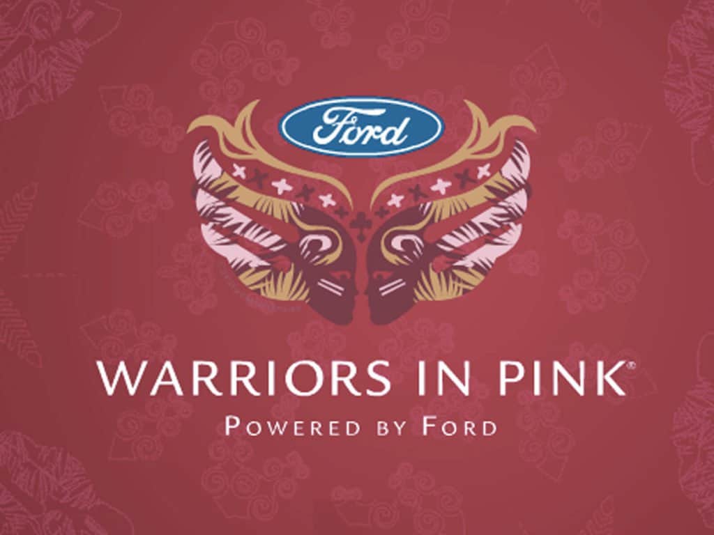 fordpinkwarriors cleaning